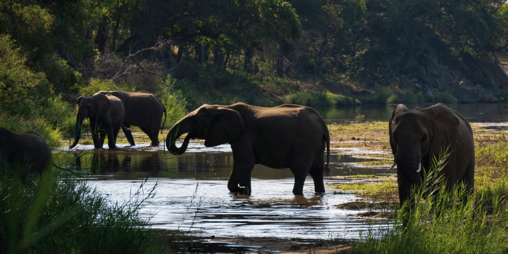 Zambia