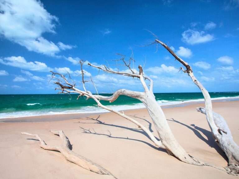 Benguerra Island - Mozambique