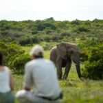 Gorah Elephant Camp - Addo Elephant Park