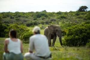 Gorah Elephant Camp - Addo Elephant Park