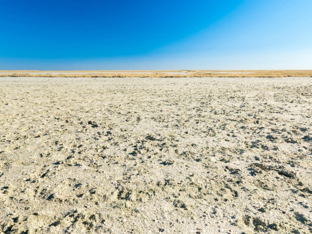 Makgadikgadi Pans National Park