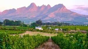 Stellenbosch - Cape Winelands