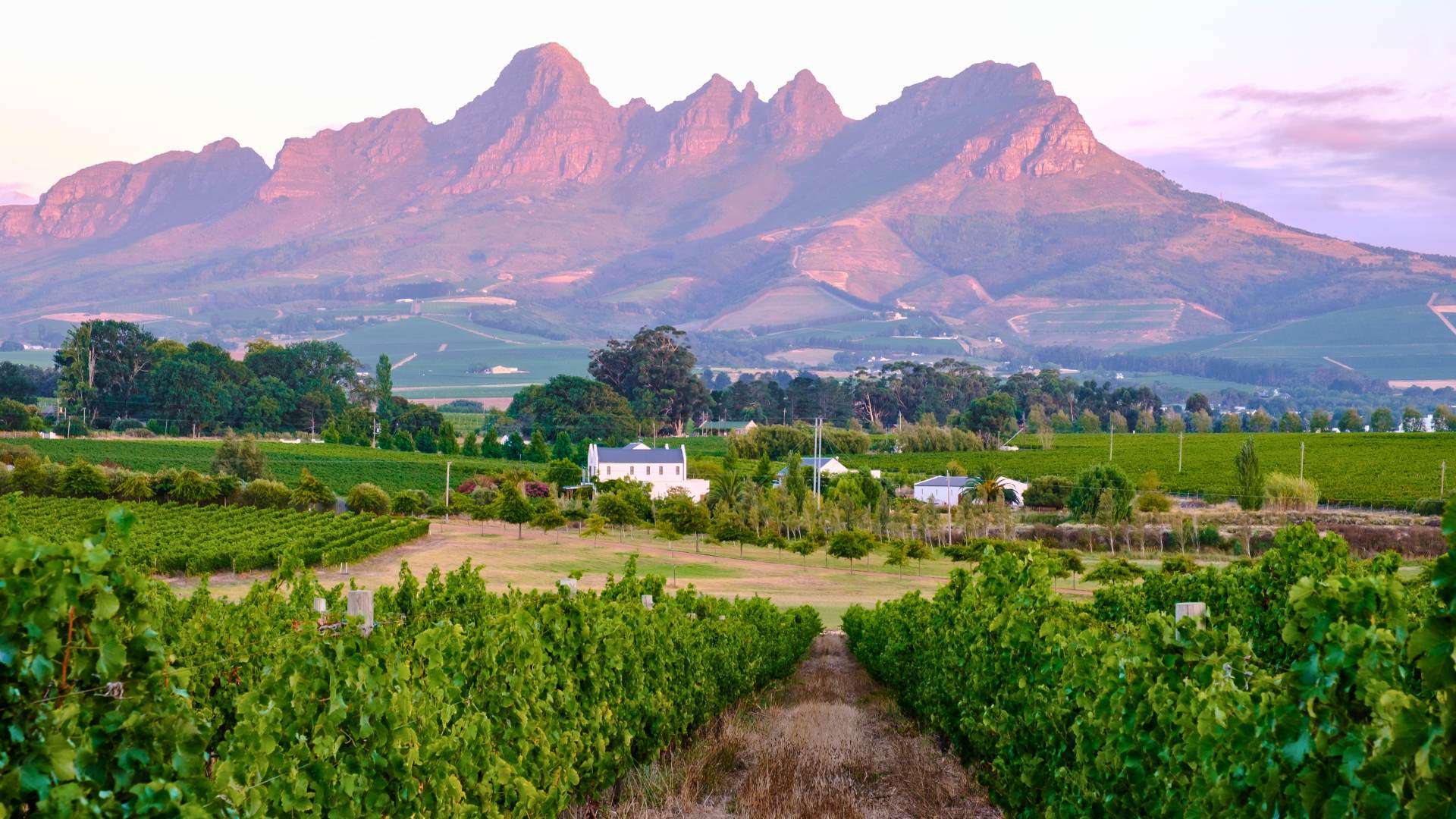 Stellenbosch 