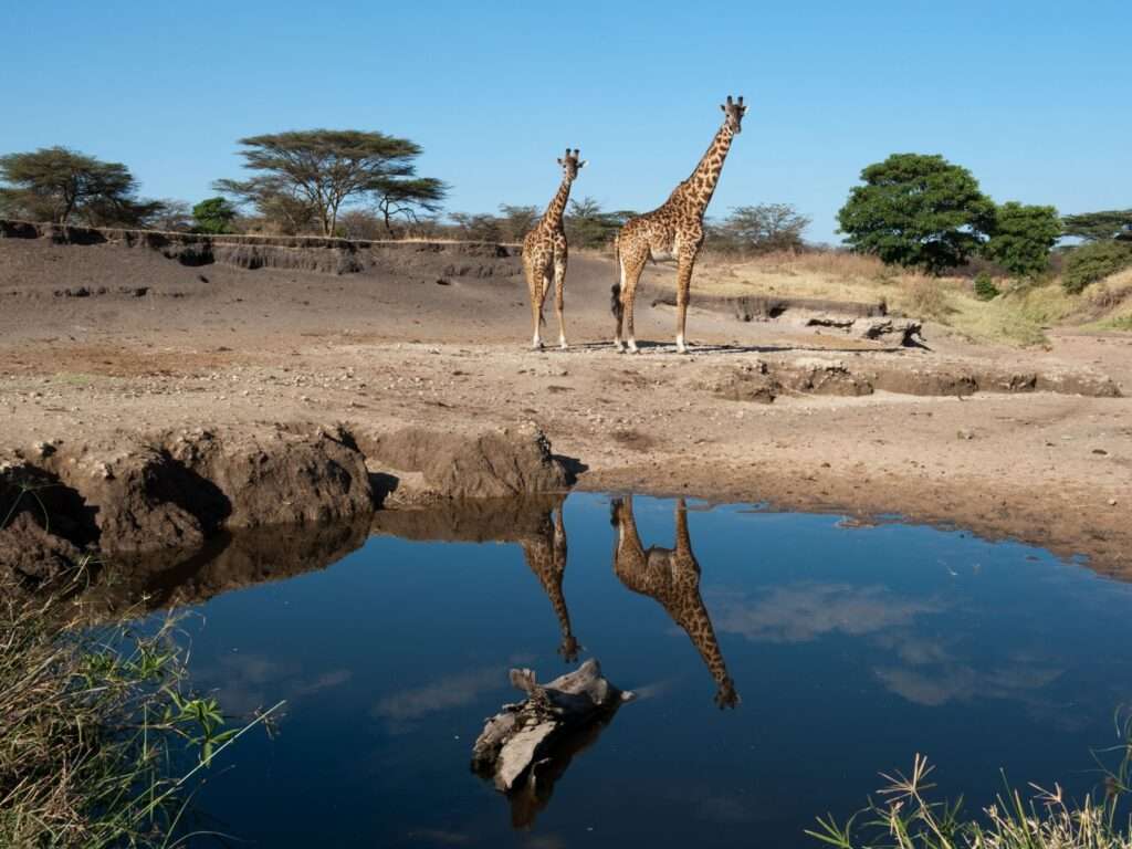 Tanzania