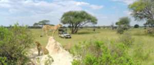 The Hide - Hwange - Zimbabwe