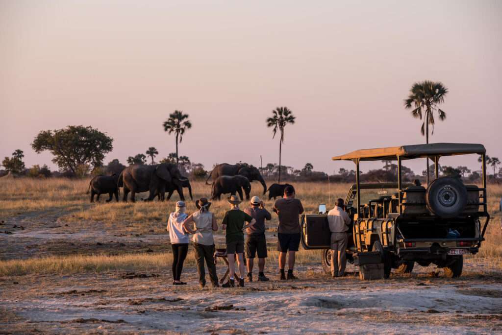 The Hide - Hwange - Zimbabwe