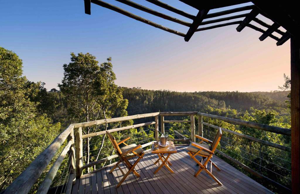 Tsala Treetop Lodge - Garden Route