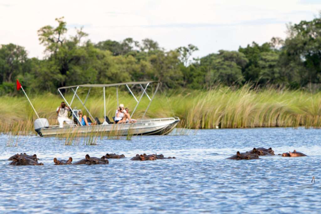 Camp Moremi - Botswana