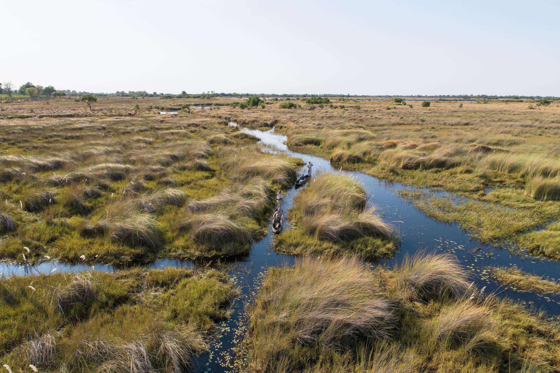 Camp Okavango - Delta - Botswana