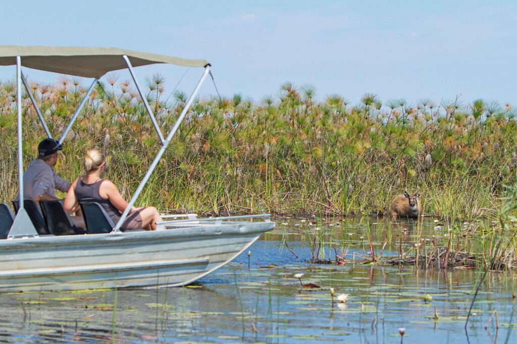 Camp Okavango - Delta - Botswana