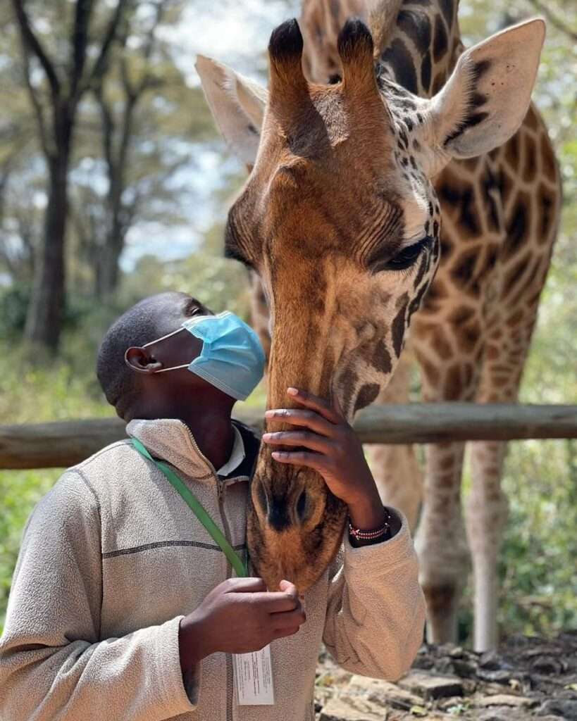 Giraffe Centre - Kenya 06