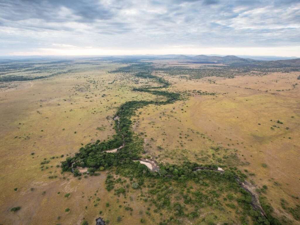 Grumeti River - Tanzania