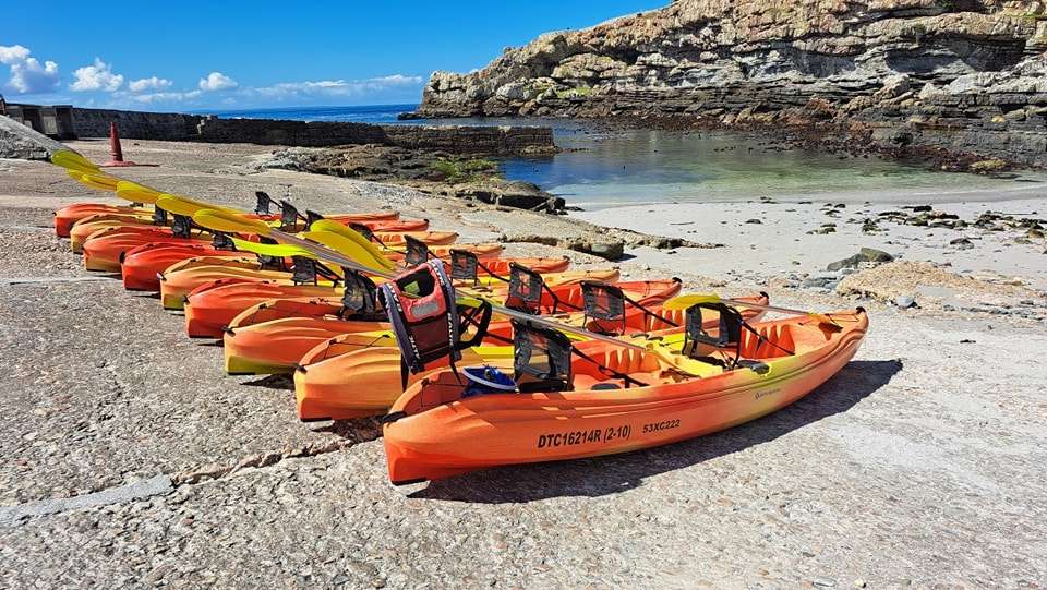 Hermanus Sea Kayaking