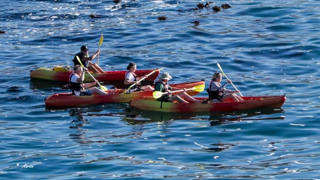 Hermanus Sea Kayaking