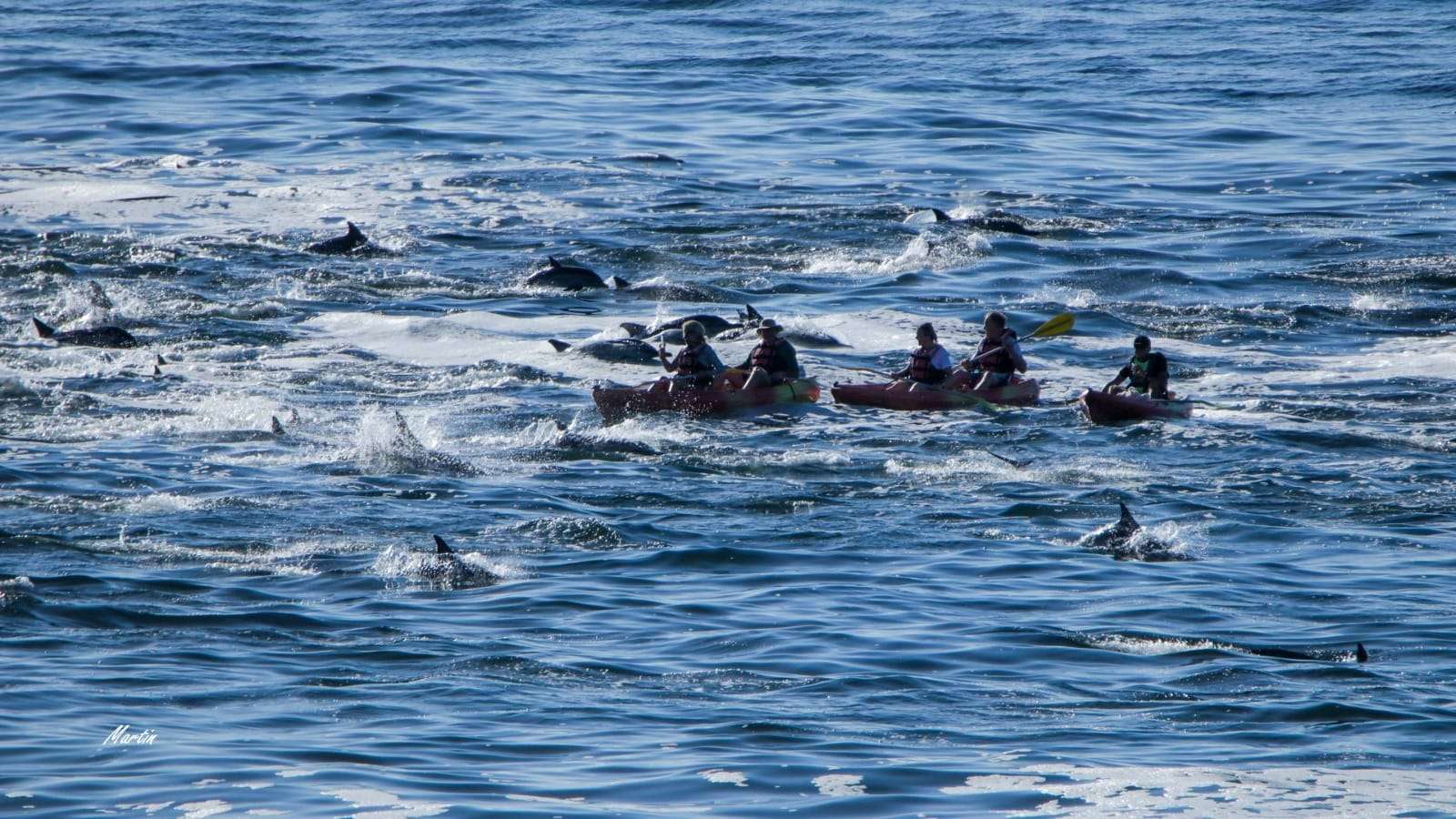 Hermanus Sea Kayaking