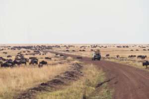 Mara Serena Safari Lodge - Kenya