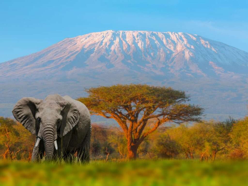 Mount Kilimanjaro