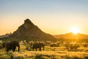 Mowani Mountain Camp - Namibia