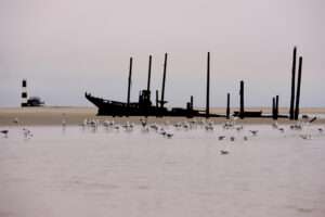 Pelican Point Lodge - Namibia