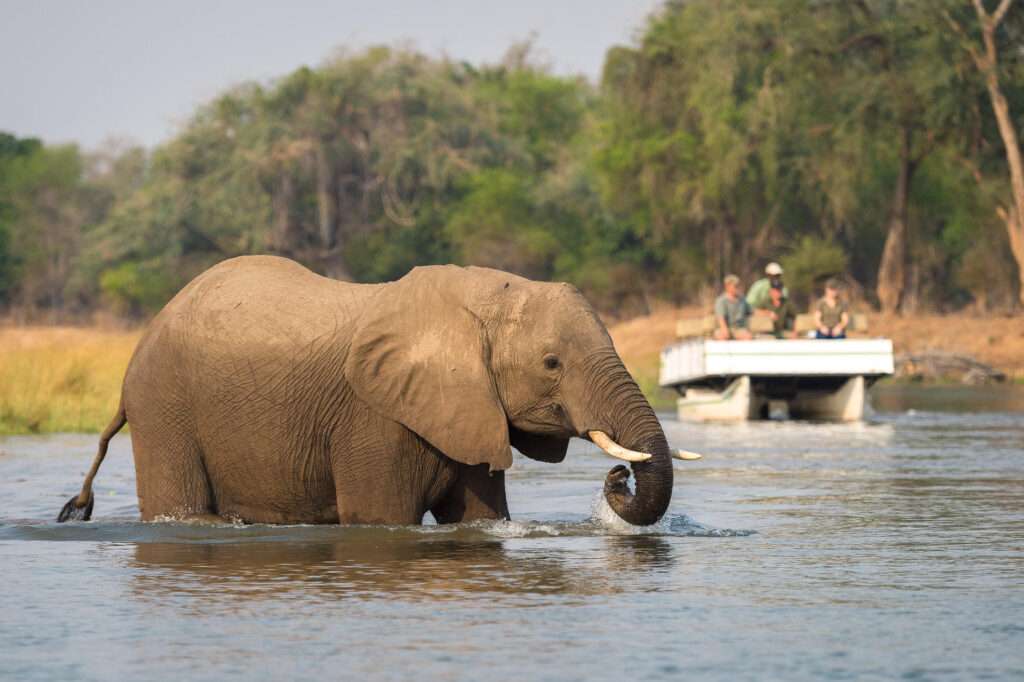 Wilderness Ruckomechi - Mana Pools - Zimbabwe