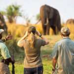 Wilderness Ruckomechi - Mana Pools - Zimbabwe