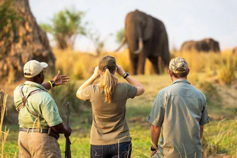 Wilderness Ruckomechi - Mana Pools - Zimbabwe