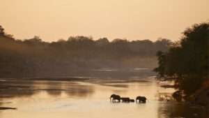 Zambia