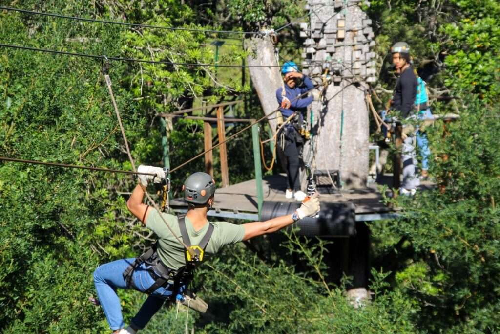 Tsitsikamma Canopy Tours - Garden Route