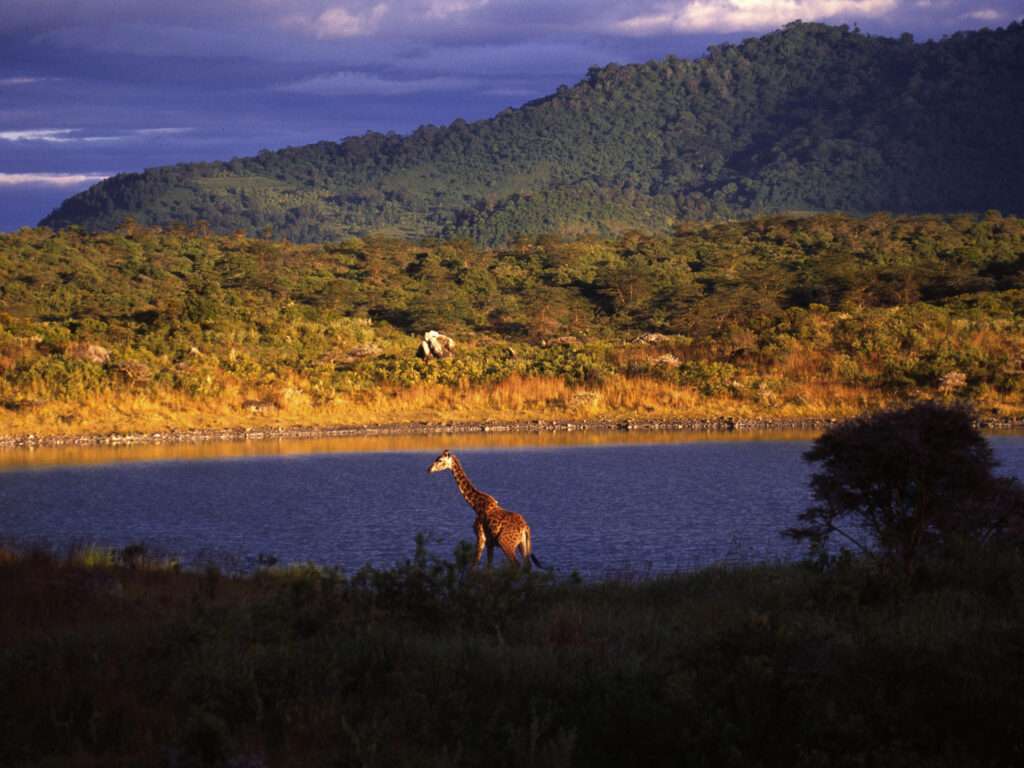 Elewana Arusha Coffee Lodge - Tanzania (2)