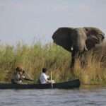 Sausage Tree Camp - Zambia