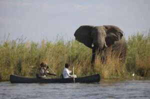 Sausage Tree Camp - Zambia