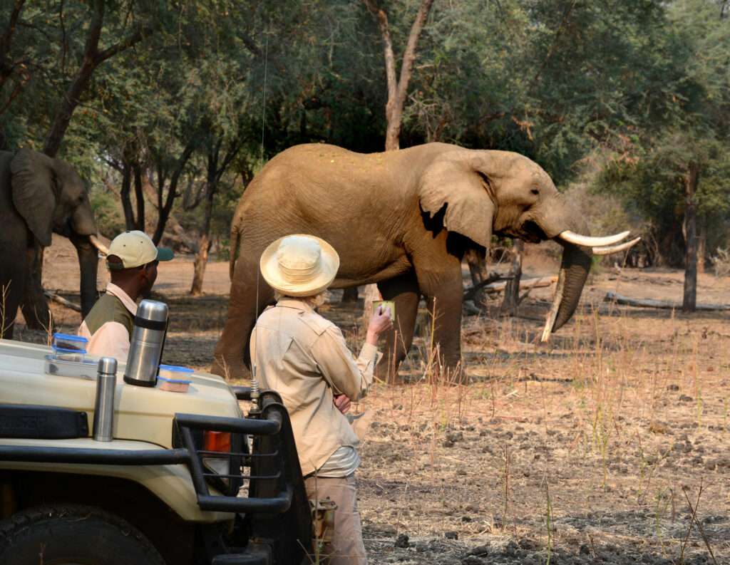 Sausage Tree Camp - Zambia