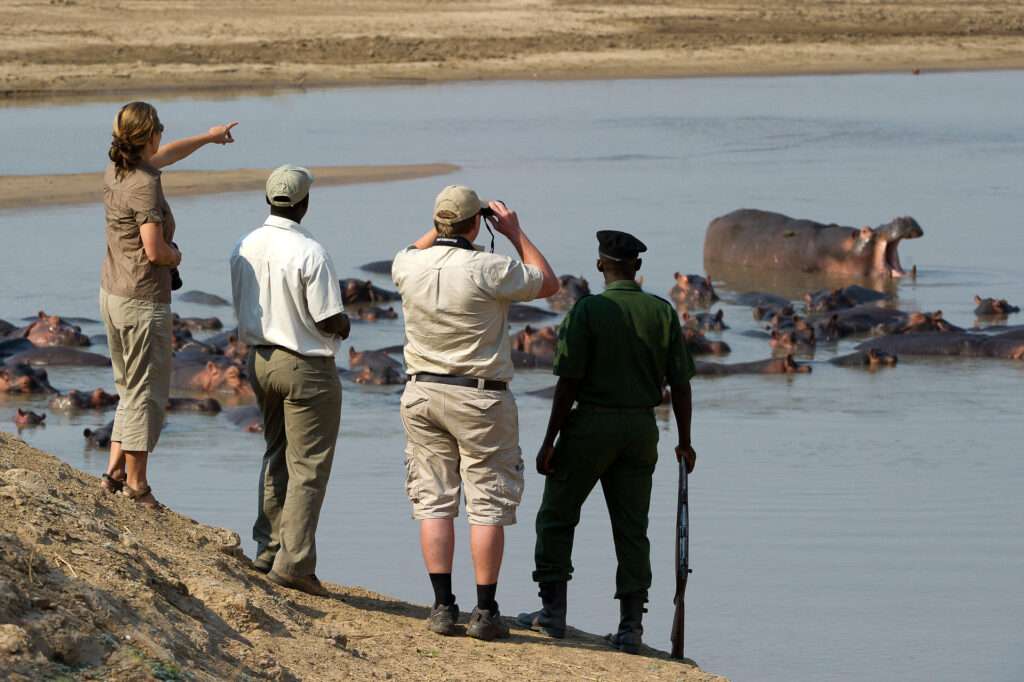 South Luangwa National Park - Zambia