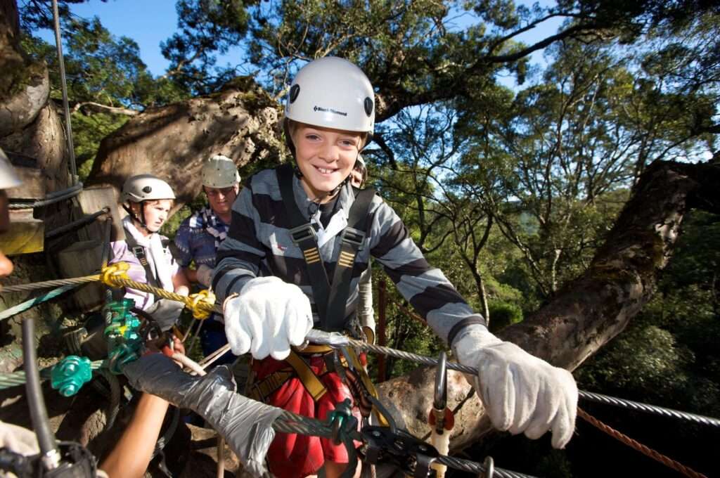 Tsitsikamma Canopy Tours - Garden Route