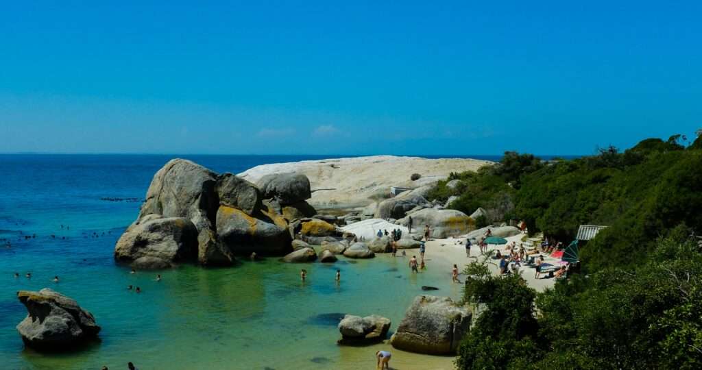 Boulder beach Penguins - Cape Town