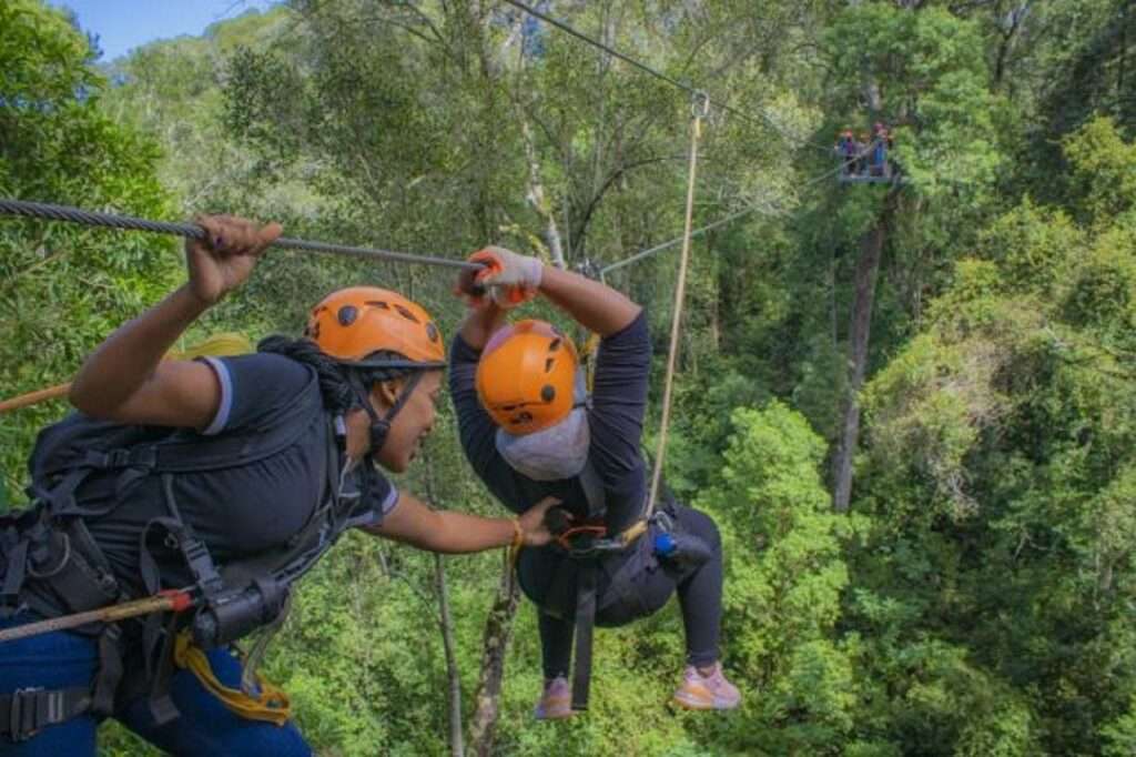 Tsitsikamma Canopy Tours - Garden Route