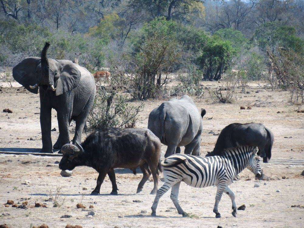 Kruger National Park