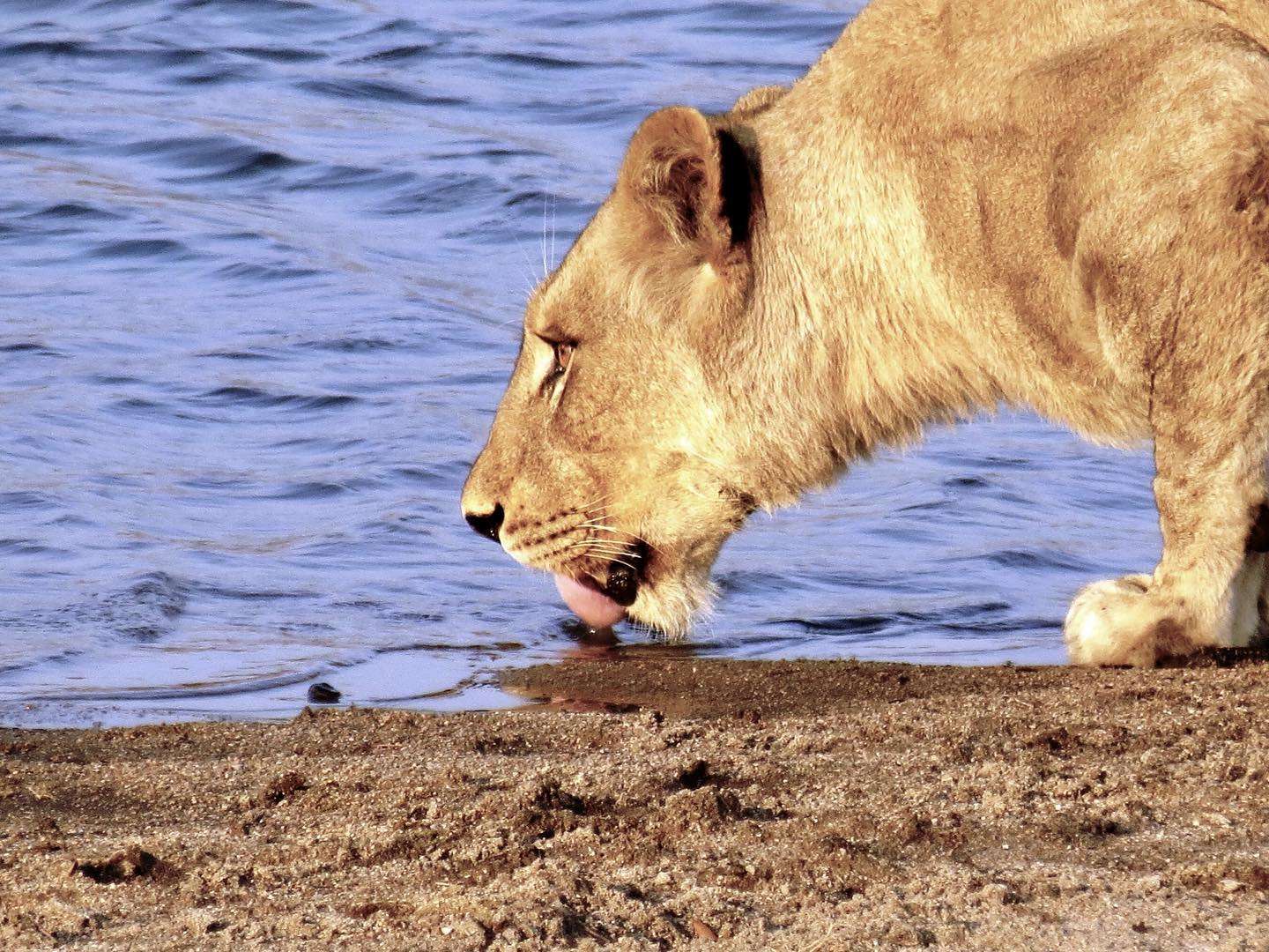 Kruger National Park