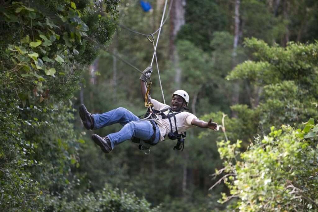 Tsitsikamma Canopy Tours - Garden Route